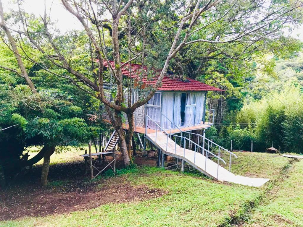 Cabana Treehouse Mountain View San Isidro  Zewnętrze zdjęcie