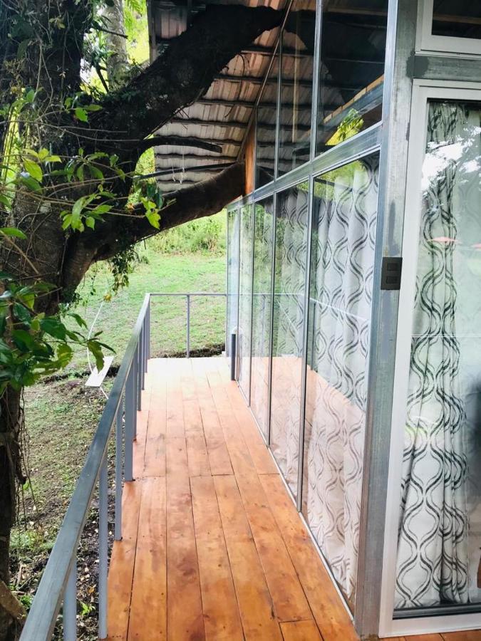 Cabana Treehouse Mountain View San Isidro  Zewnętrze zdjęcie