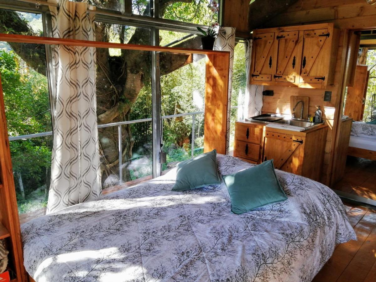Cabana Treehouse Mountain View San Isidro  Zewnętrze zdjęcie