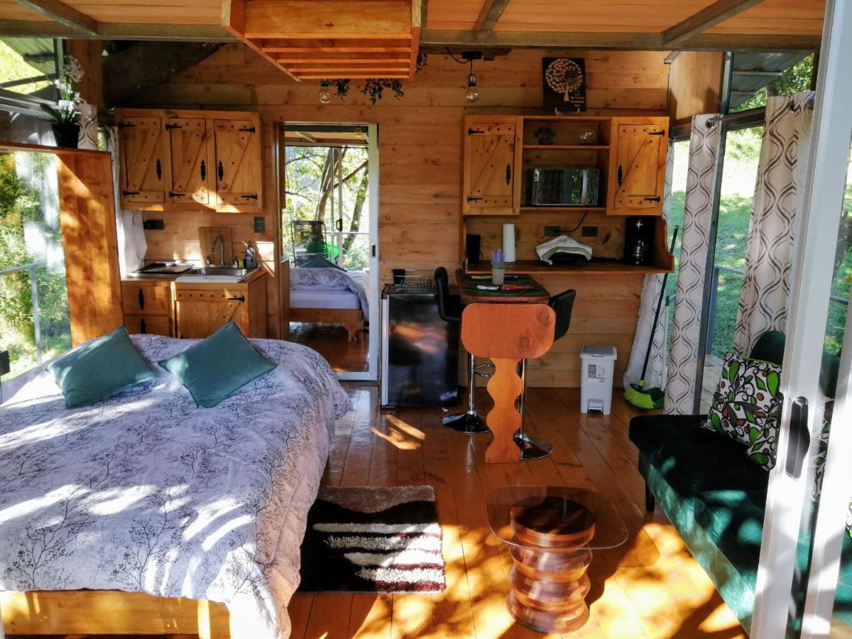 Cabana Treehouse Mountain View San Isidro  Zewnętrze zdjęcie